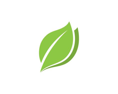 leaf vector|Leaf Vectors & Illustrations for Free Download.